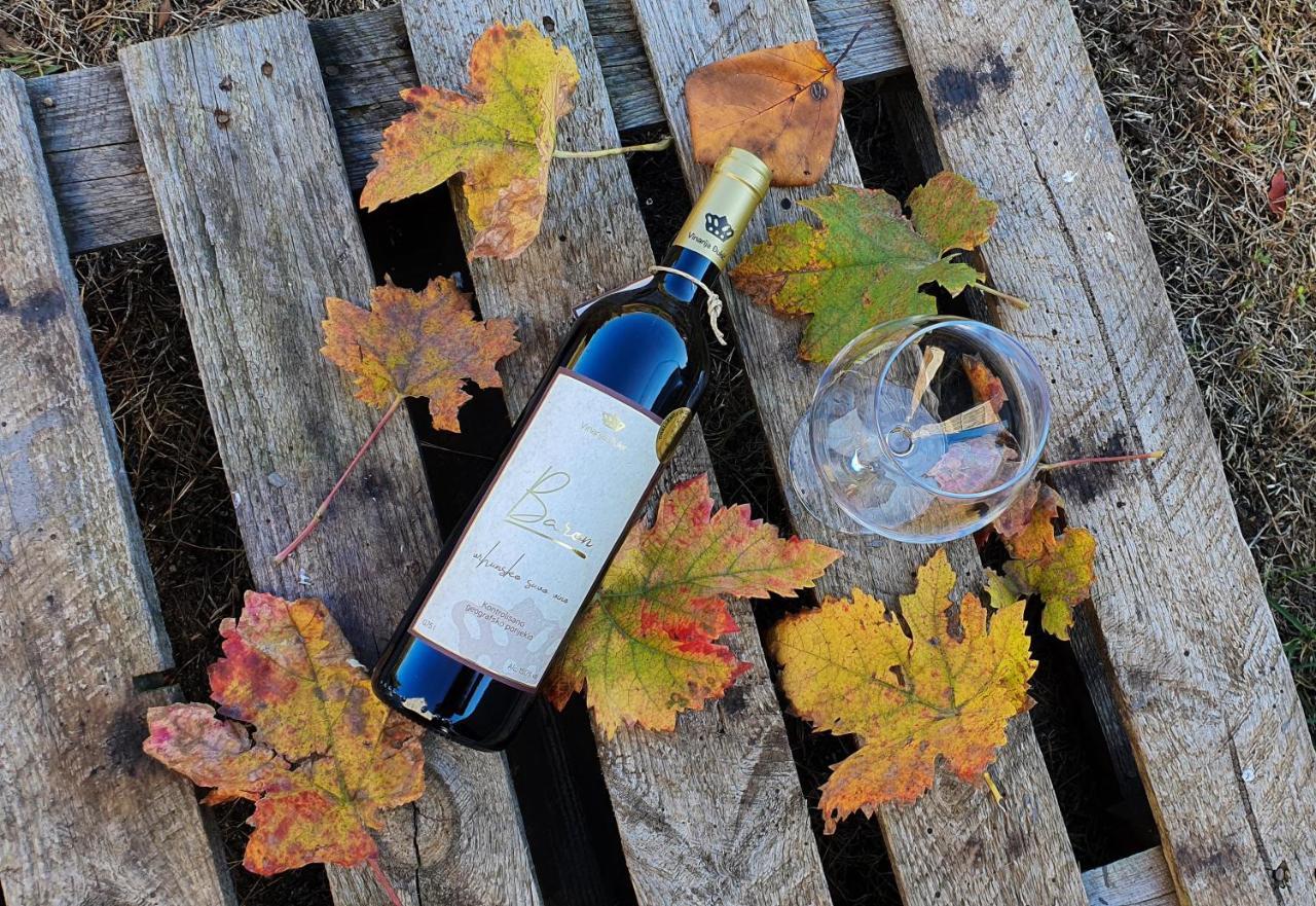 Djukic Winery Lejlighed Podgorica Eksteriør billede