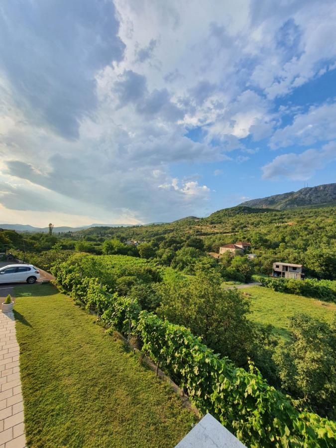 Djukic Winery Lejlighed Podgorica Eksteriør billede